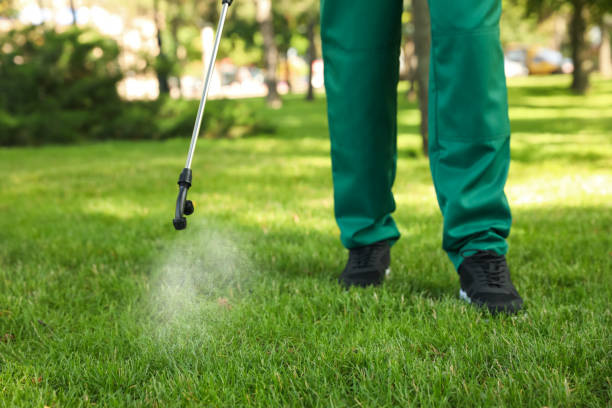 Best Residential Pest Control  in Jamul, CA