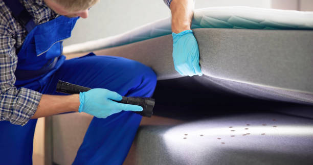Best Bed Bug Extermination  in Jamul, CA