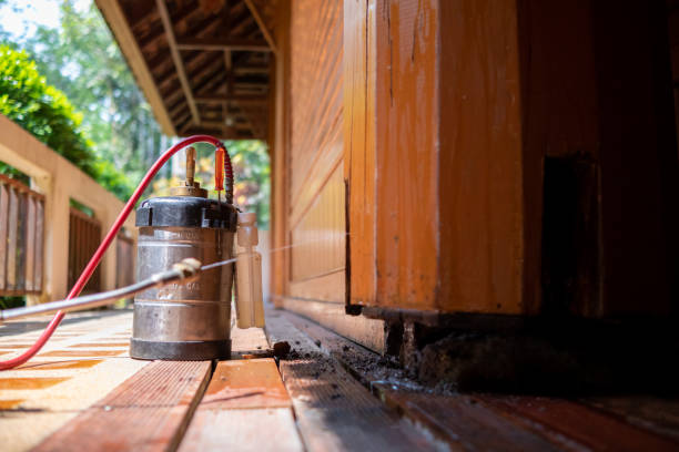 Best Best Pest Control Companies  in Jamul, CA