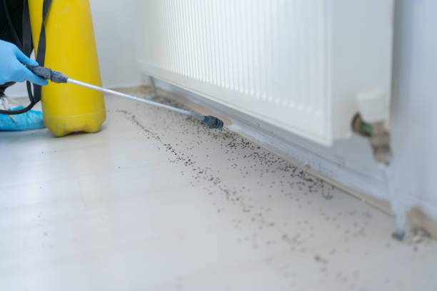 Best Pest Removal Services  in Jamul, CA