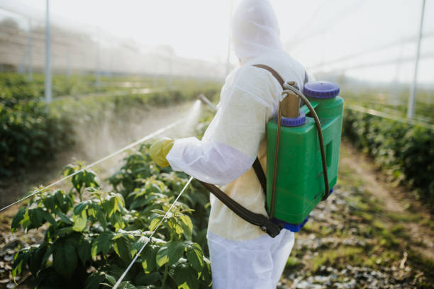 Best Pest Prevention Services  in Jamul, CA